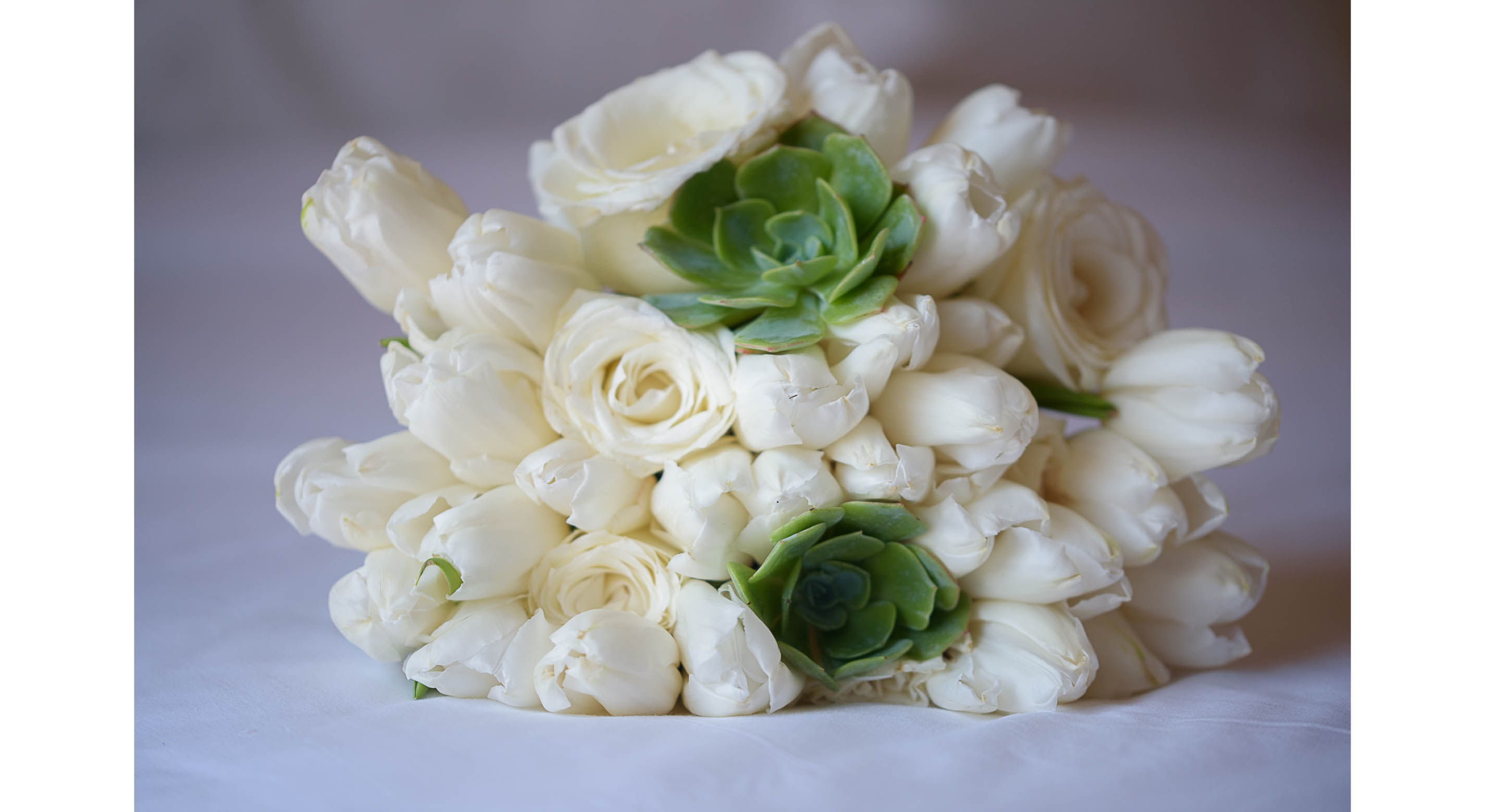 cynthia_mario-019.jpg